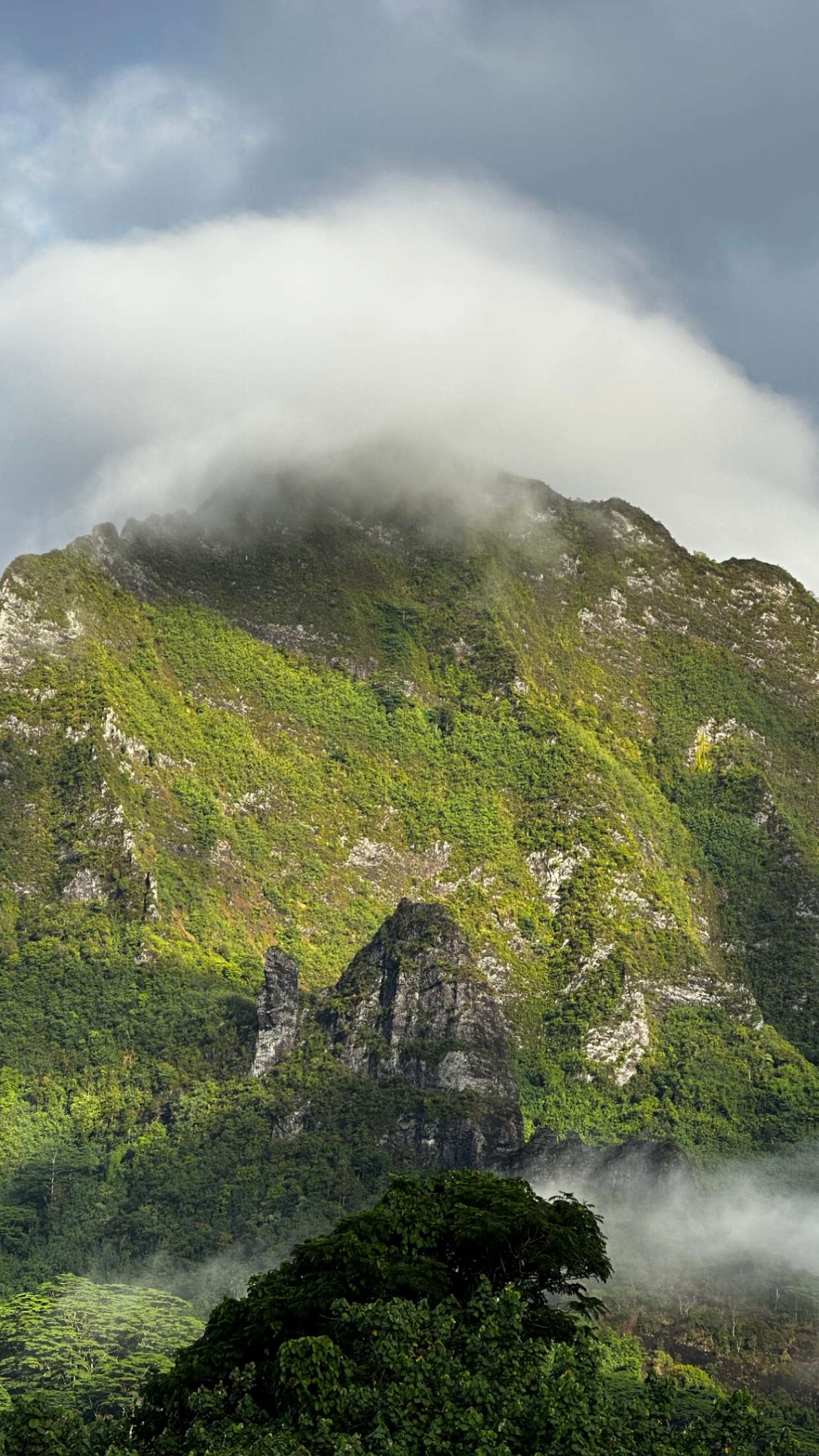 chloerosenbaum snapchat image archive image