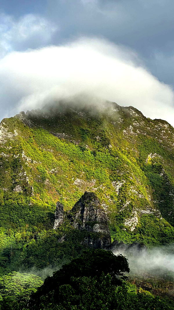 chloerosenbaum image ~ Altpins