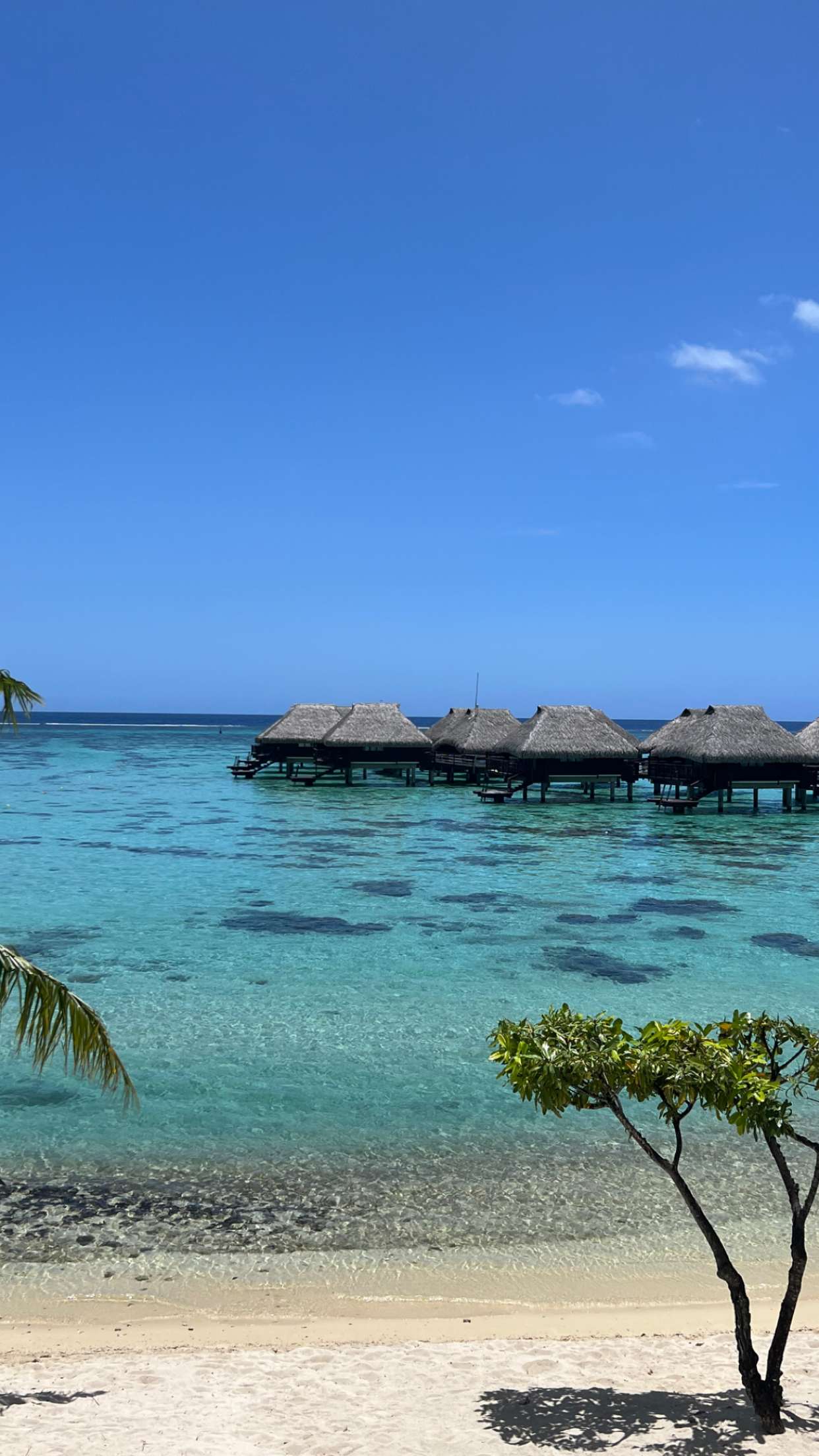 chloerosenbaum snapchat image archive image