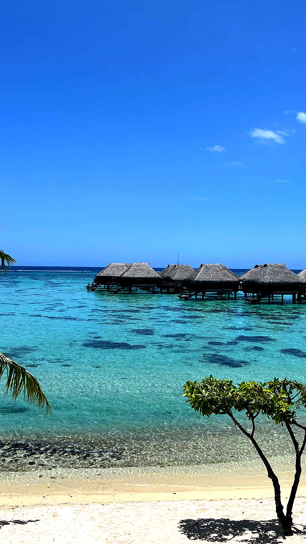 chloerosenbaum image ~ Altpins