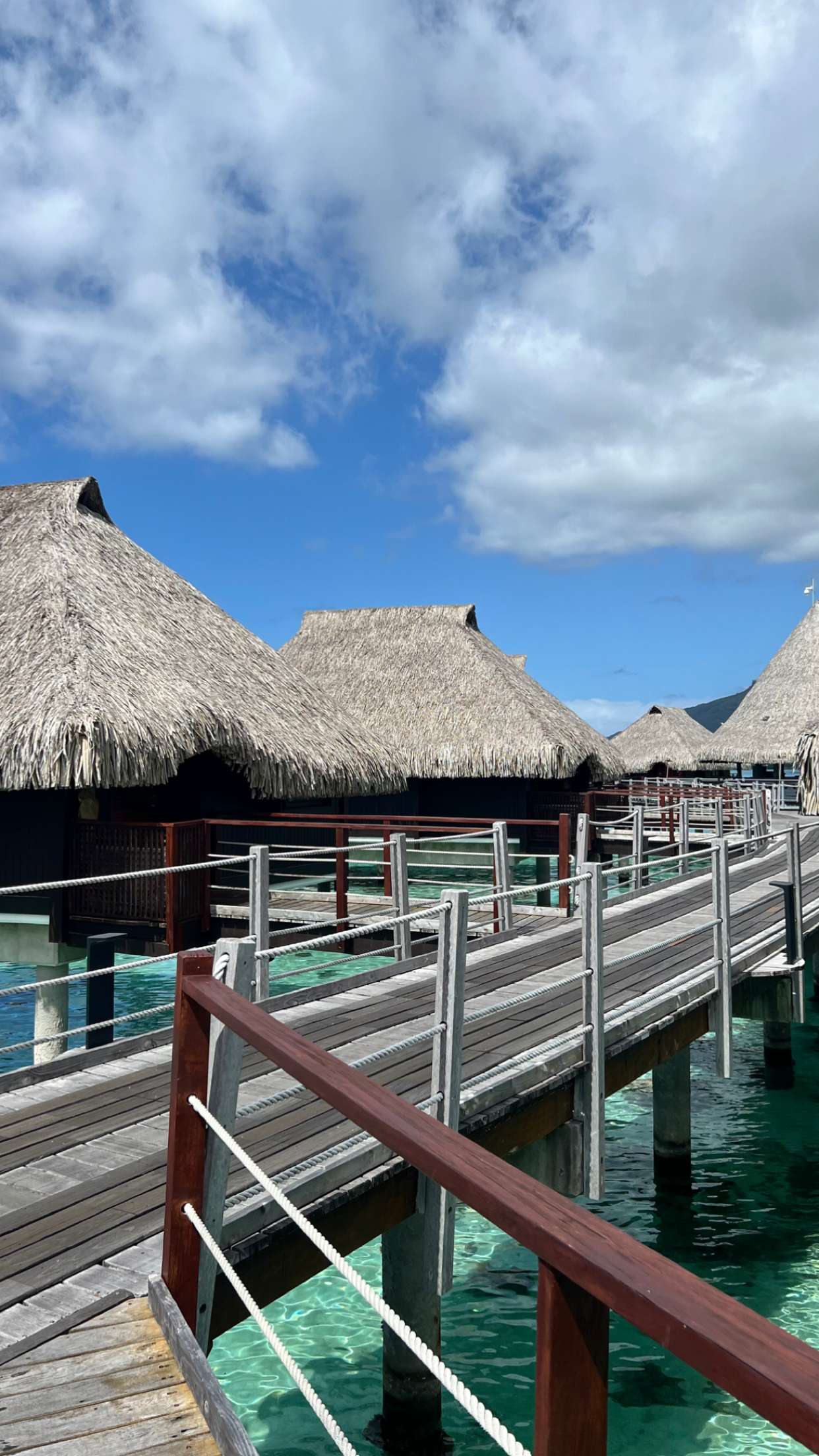 chloerosenbaum snapchat image archive image