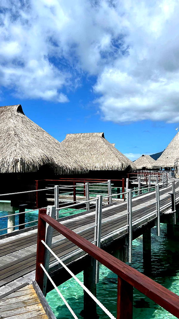 chloerosenbaum image ~ Altpins