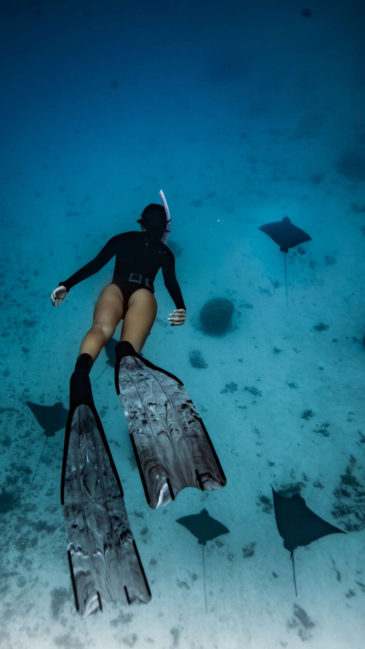 chloerosenbaum snapchat image archive image