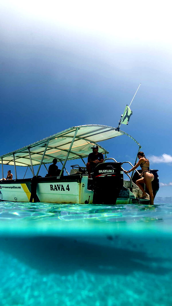 chloerosenbaum image ~ Altpins