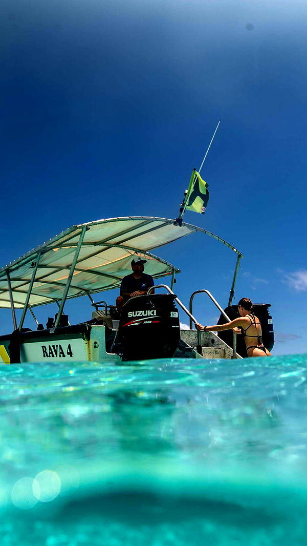 chloerosenbaum image ~ Altpins