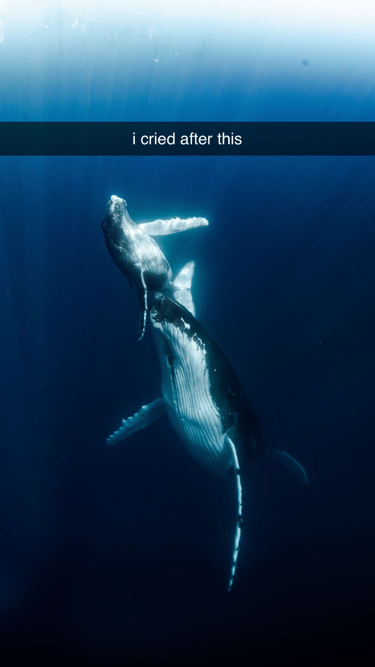 chloerosenbaum snapchat image archive image