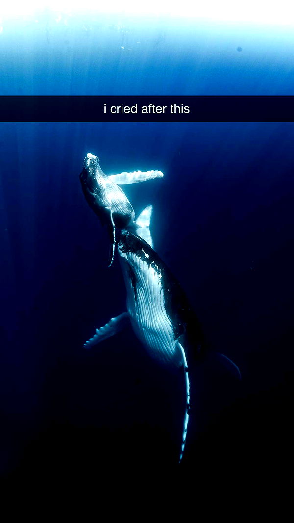 chloerosenbaum image ~ Altpins