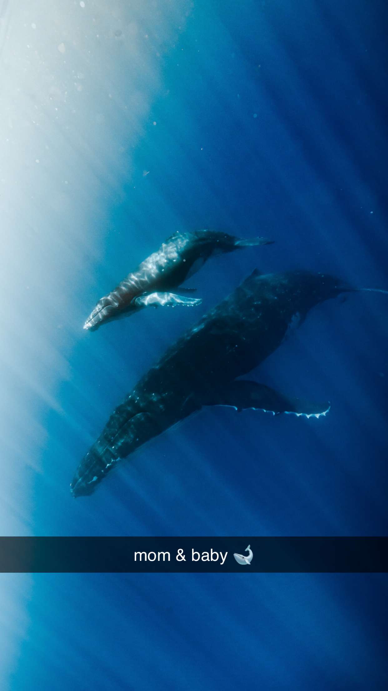 chloerosenbaum snapchat image archive image