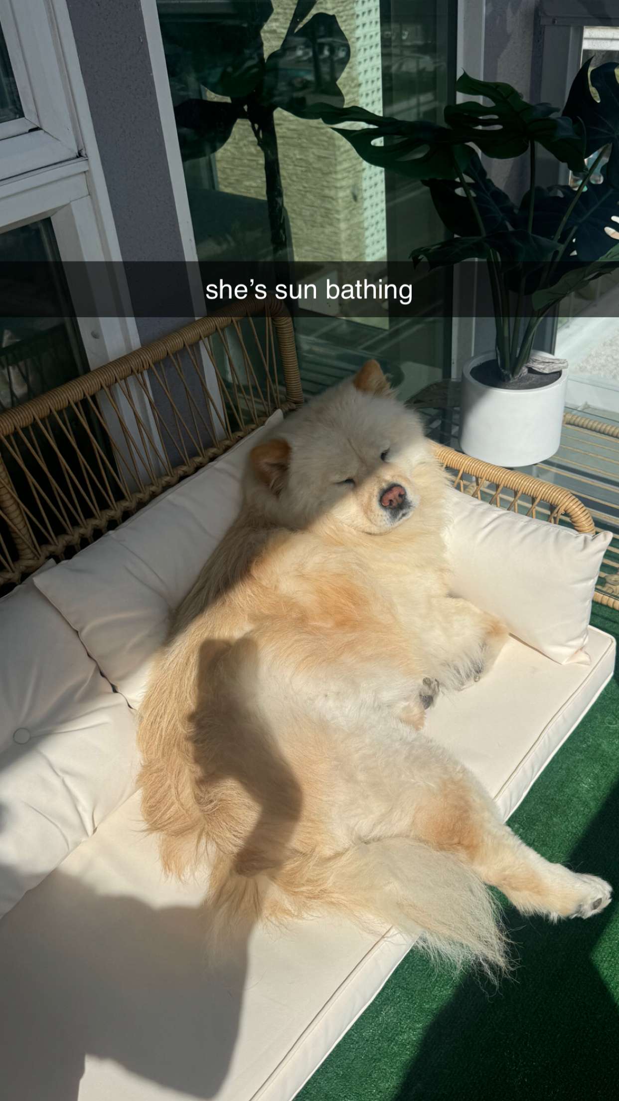 chloerosenbaum snapchat image archive image