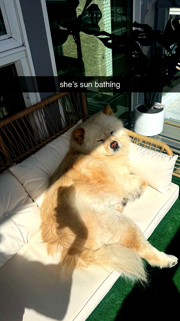 chloerosenbaum image ~ Altpins