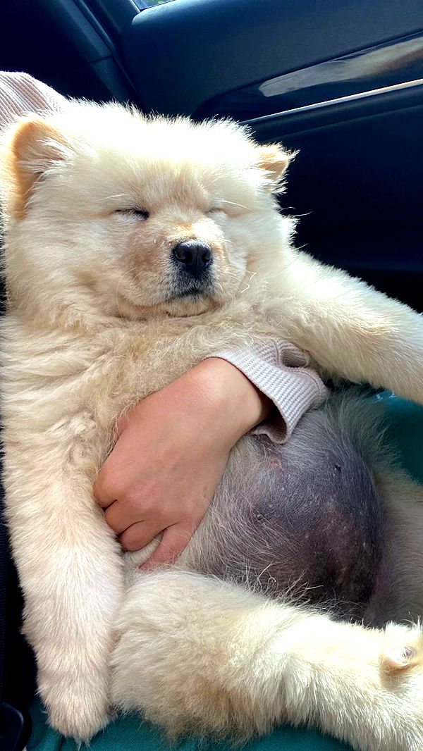 chloerosenbaum image ~ Altpins