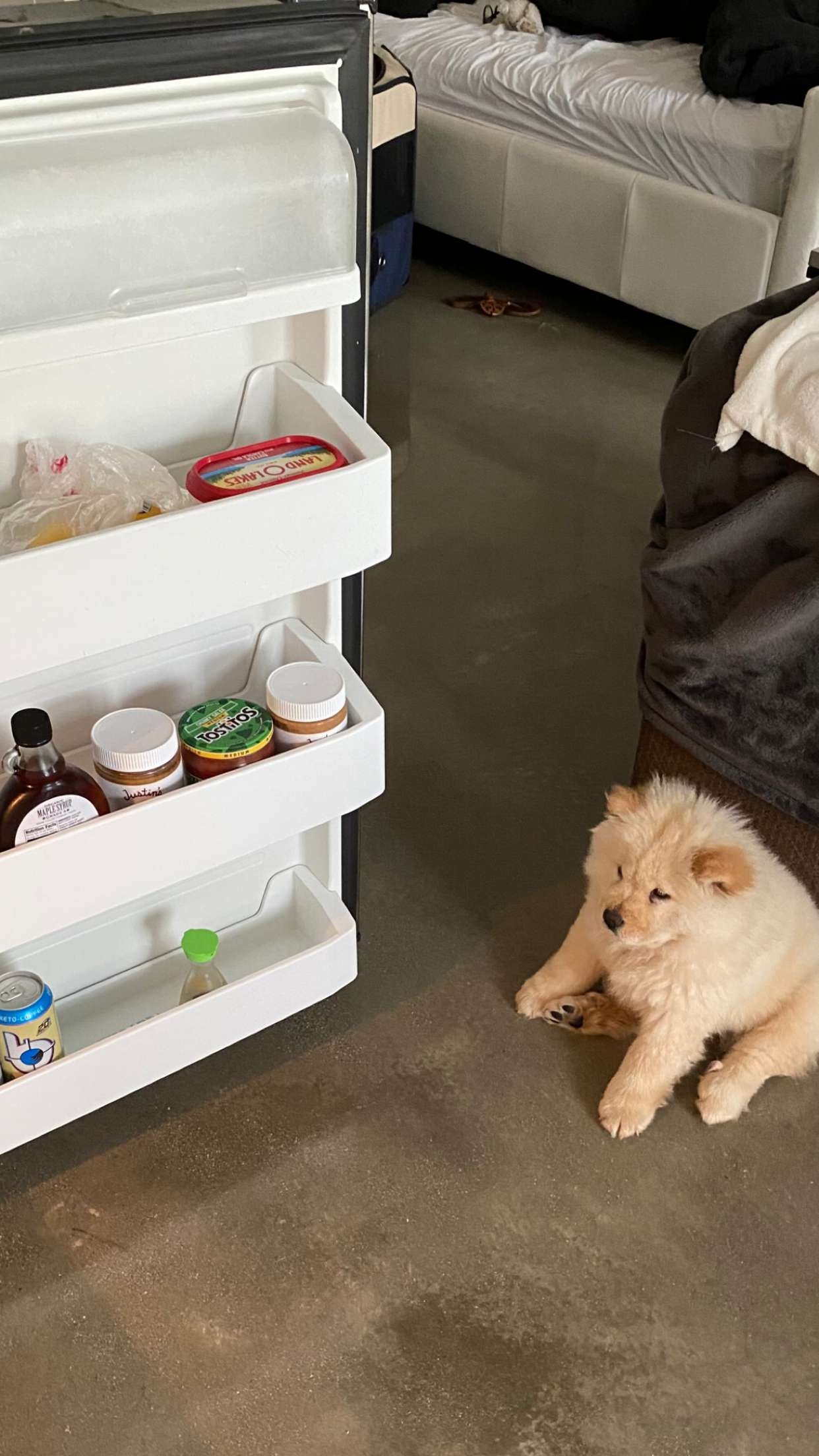 chloerosenbaum snapchat image archive image