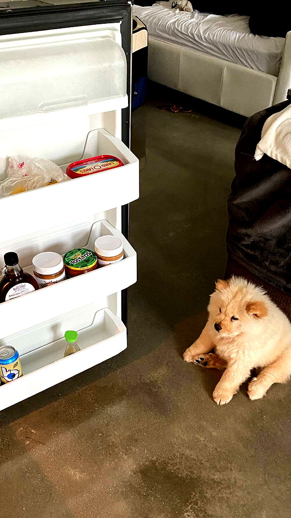 chloerosenbaum image ~ Altpins