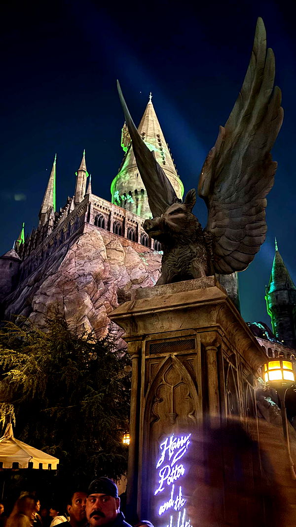 chloerosenbaum image ~ Altpins