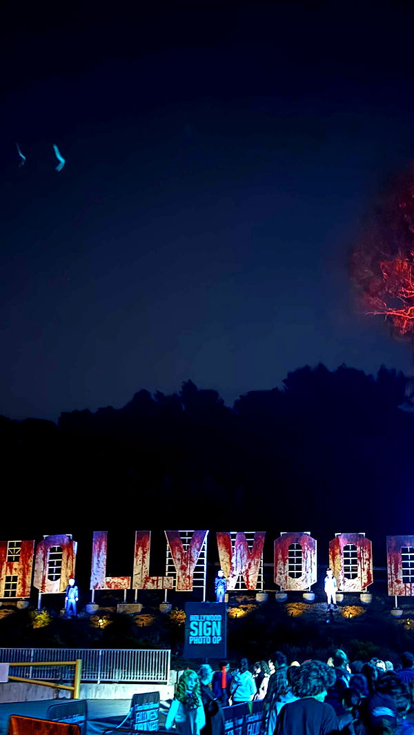 chloerosenbaum image ~ Altpins