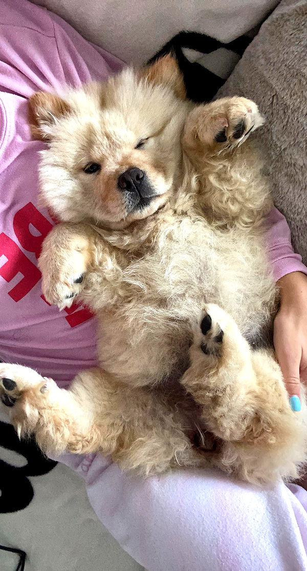 chloerosenbaum image ~ Altpins