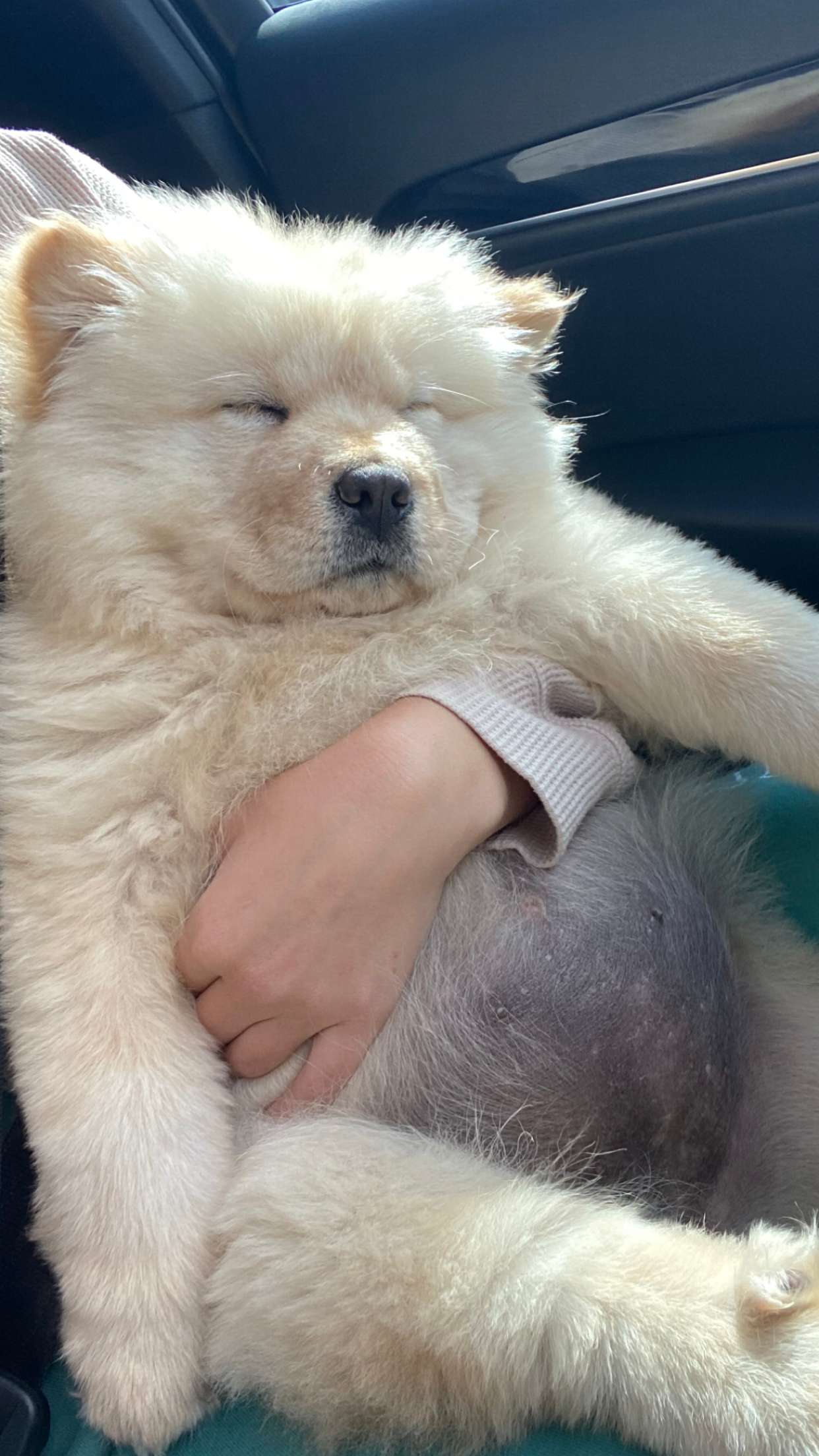 chloerosenbaum snapchat image archive image