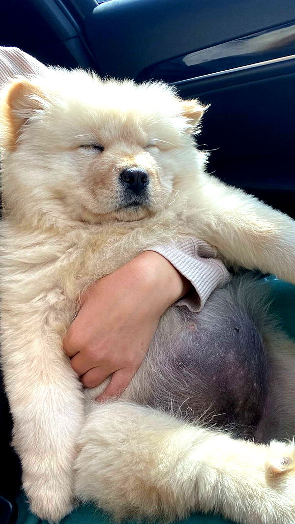 chloerosenbaum image ~ Altpins