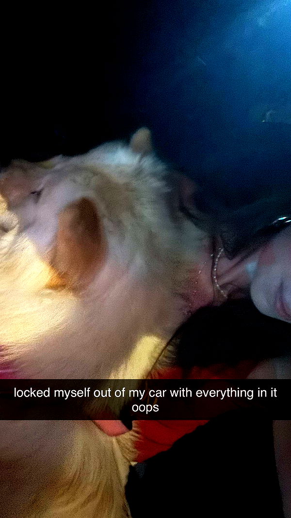 chloerosenbaum image ~ Altpins