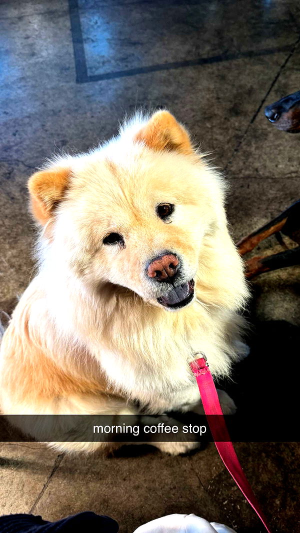 chloerosenbaum image ~ Altpins