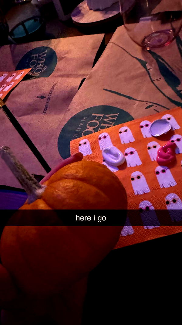 chloerosenbaum image ~ Altpins