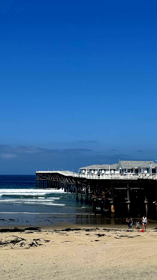 chloerosenbaum image ~ Altpins