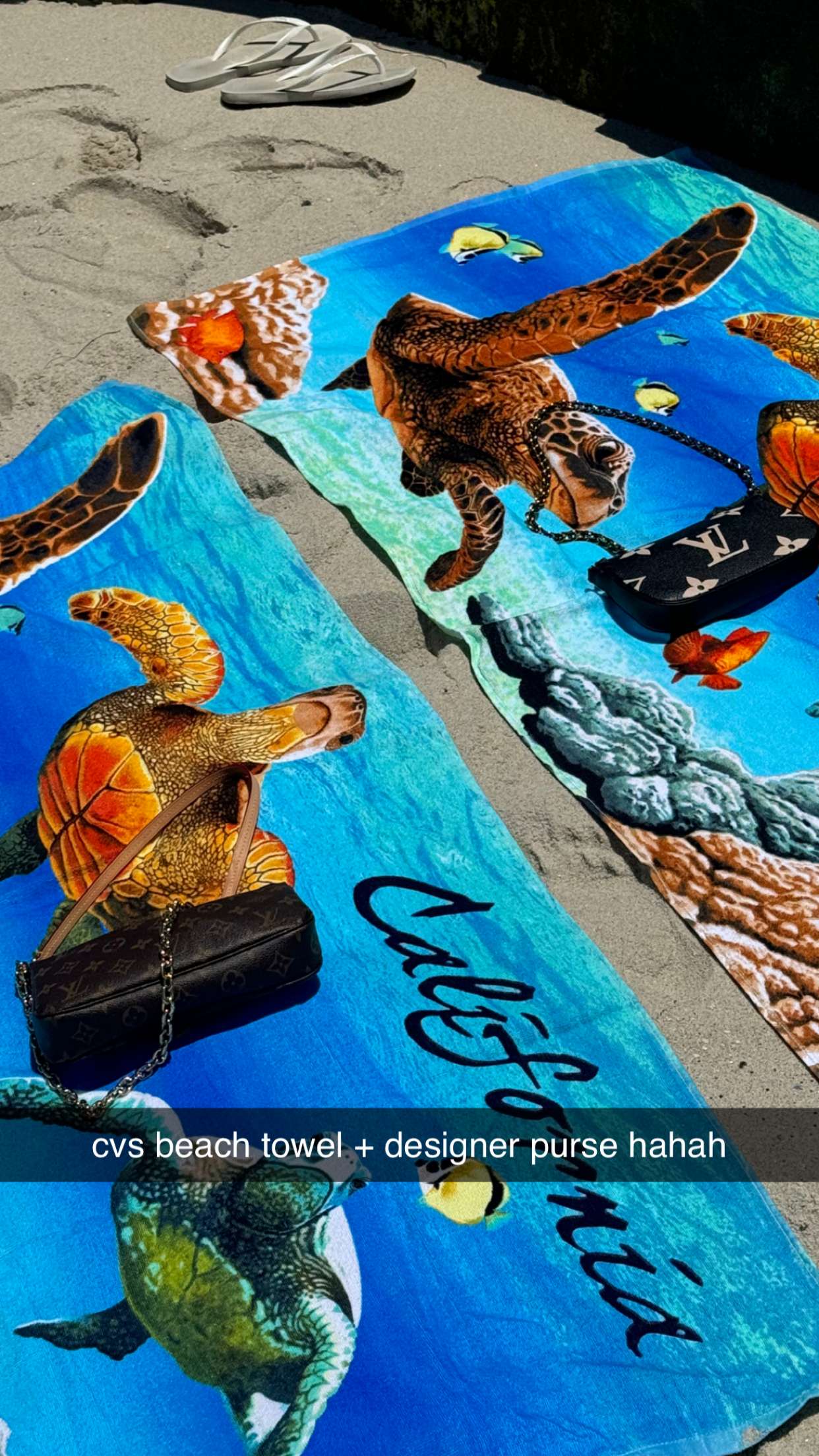 chloerosenbaum snapchat image archive image