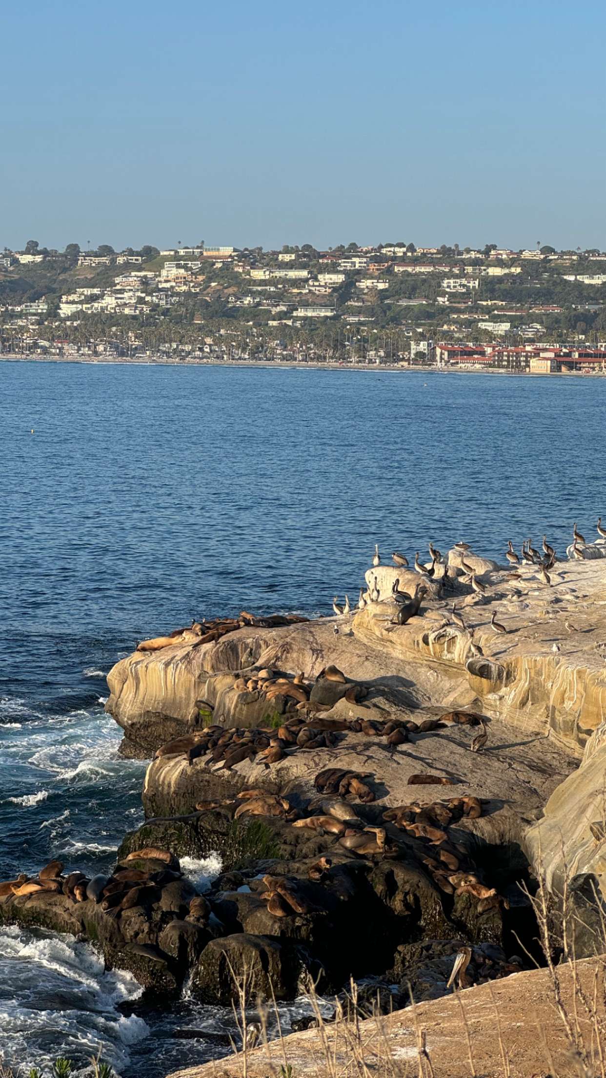 chloerosenbaum snapchat image archive image