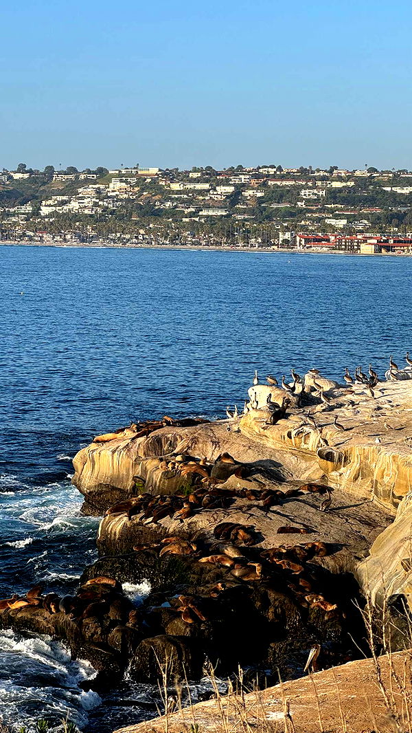 chloerosenbaum image ~ Altpins