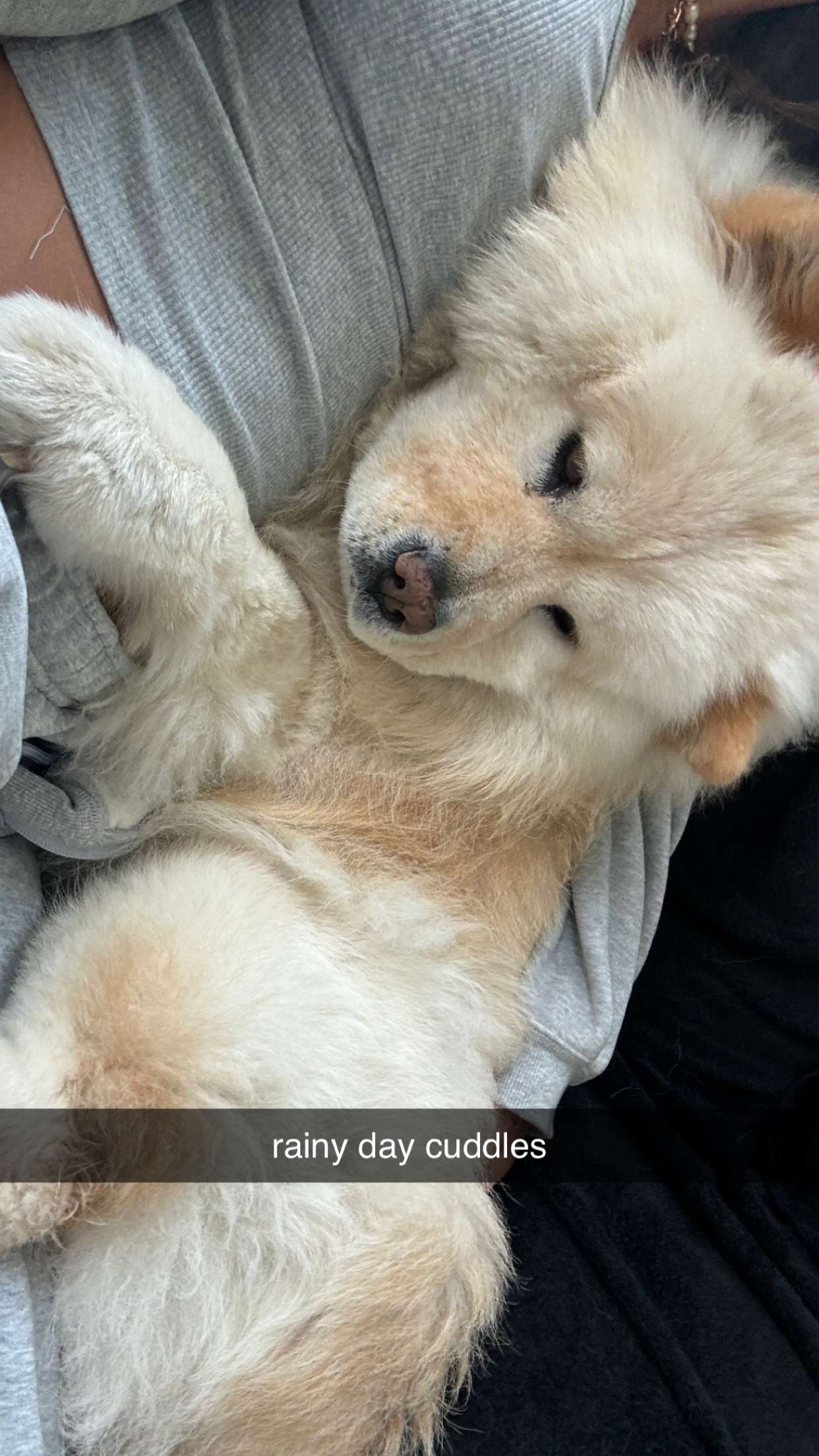 chloerosenbaum snapchat image archive image