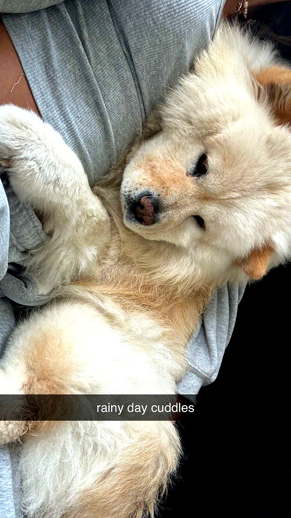 chloerosenbaum image ~ Altpins