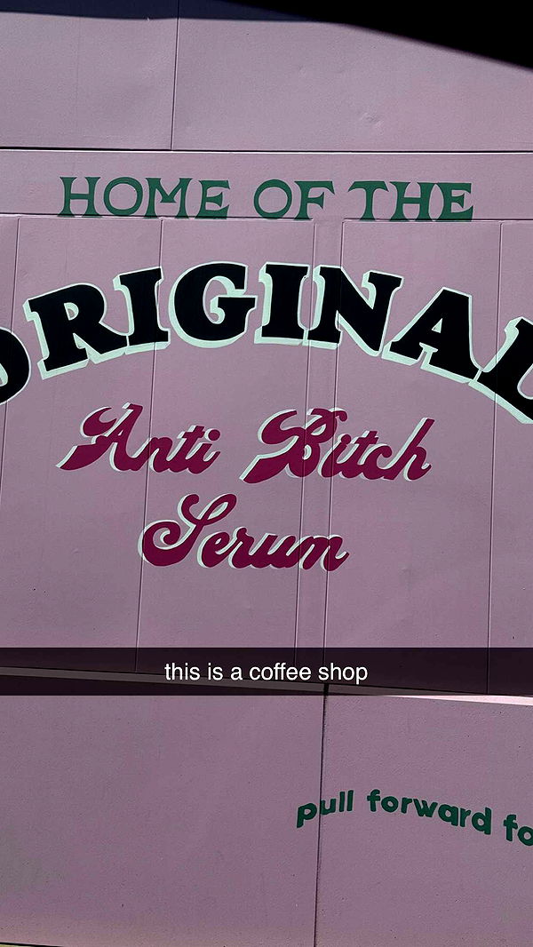 chloerosenbaum image ~ Altpins