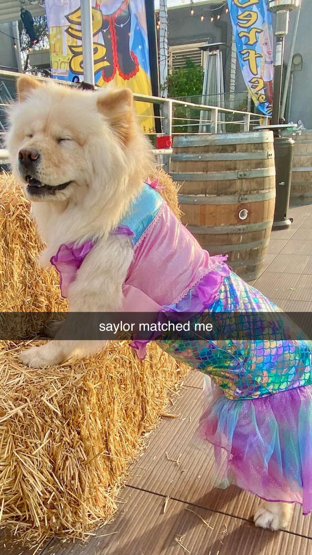 chloerosenbaum snapchat image archive image