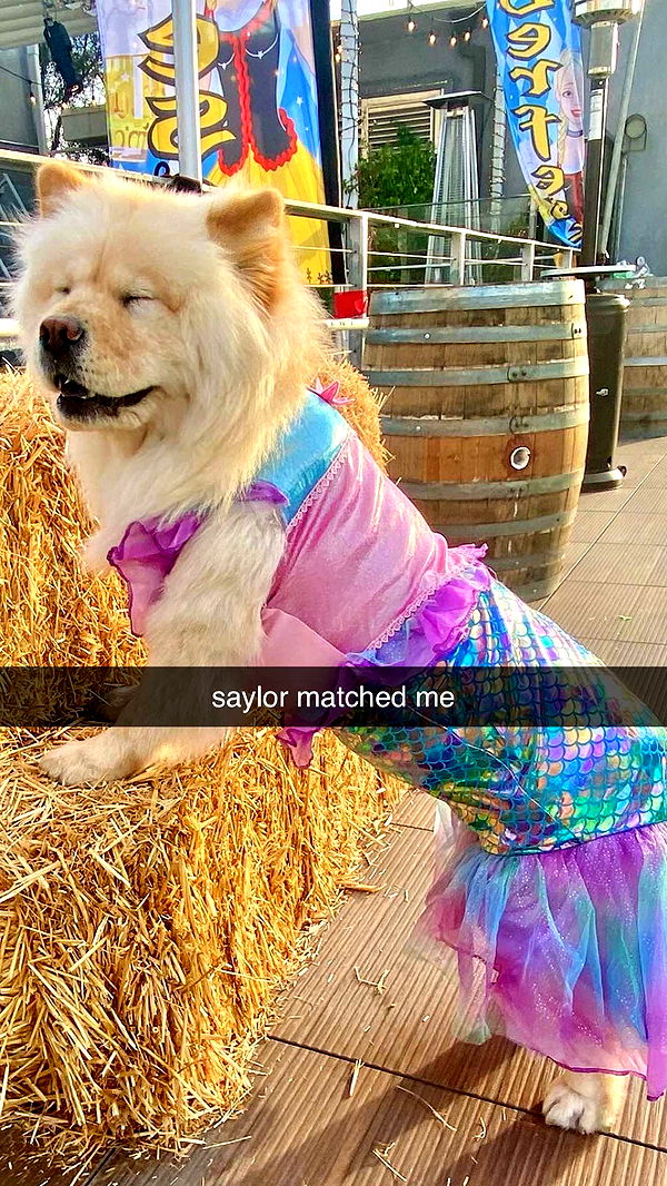 chloerosenbaum image ~ Altpins