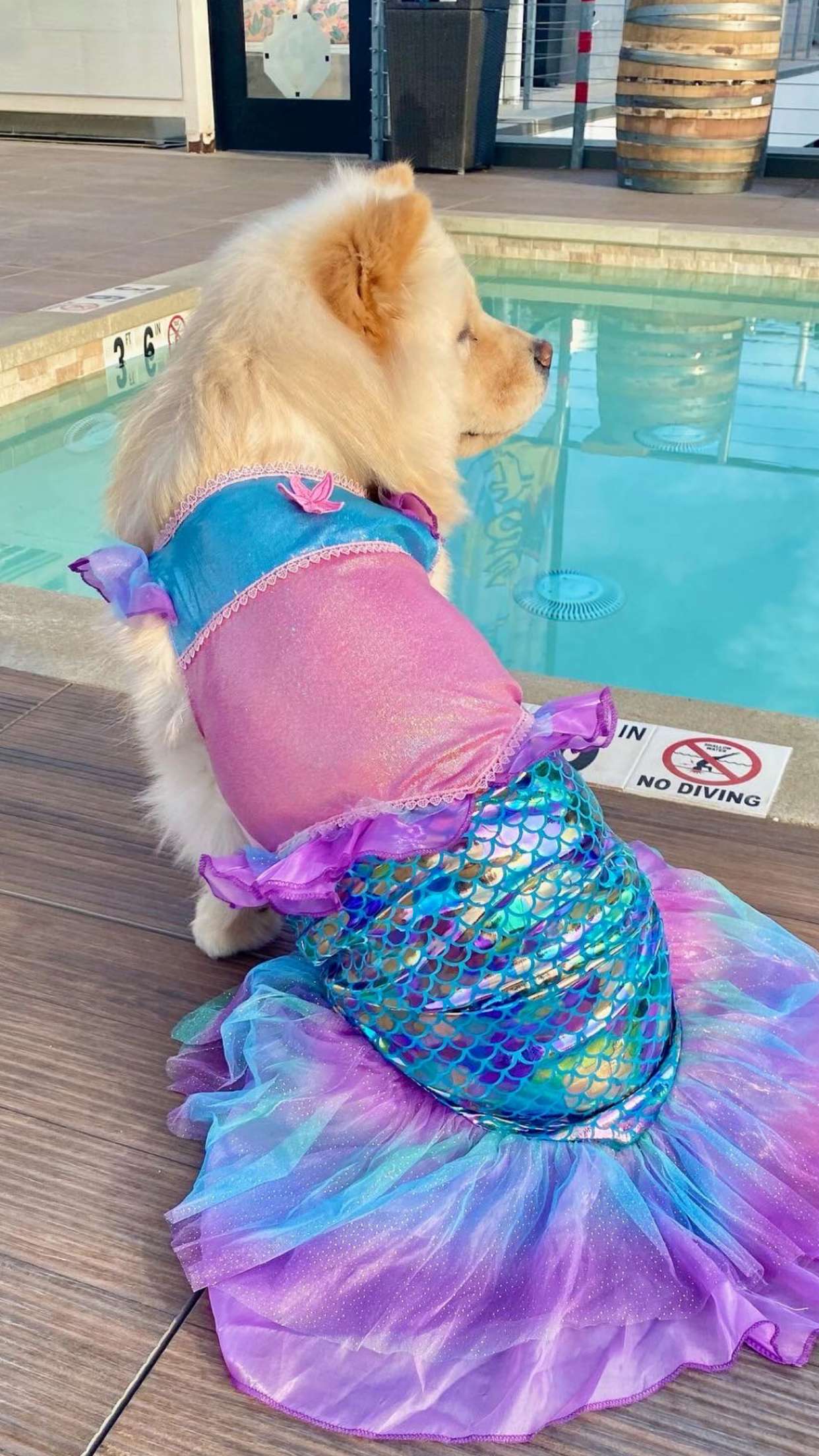 chloerosenbaum snapchat image archive image