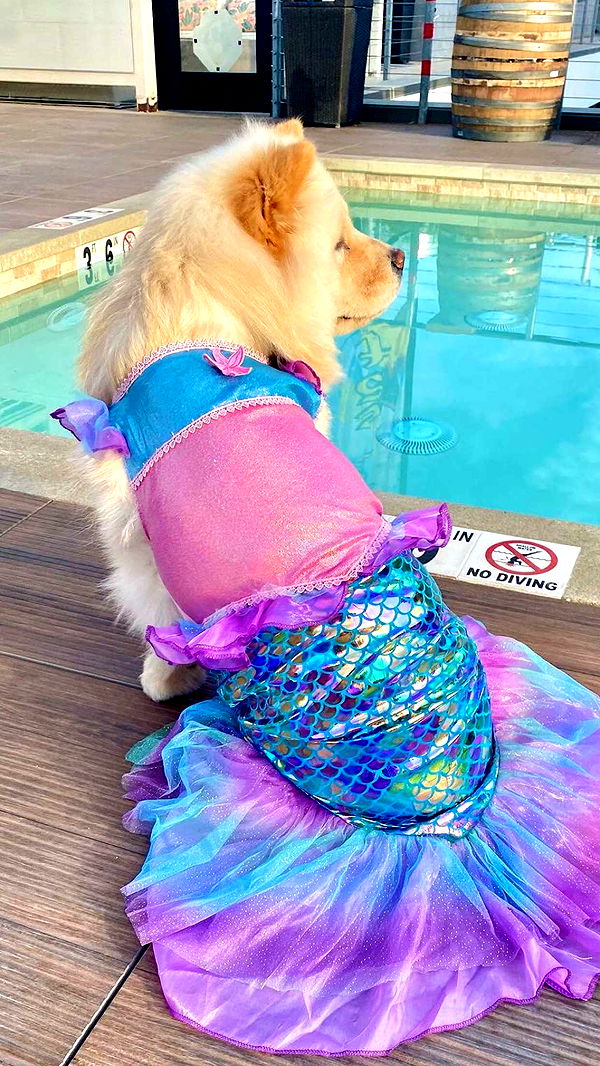 chloerosenbaum image ~ Altpins