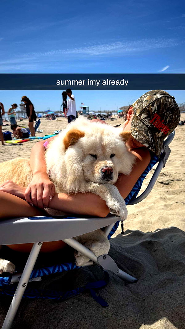 chloerosenbaum image ~ Altpins