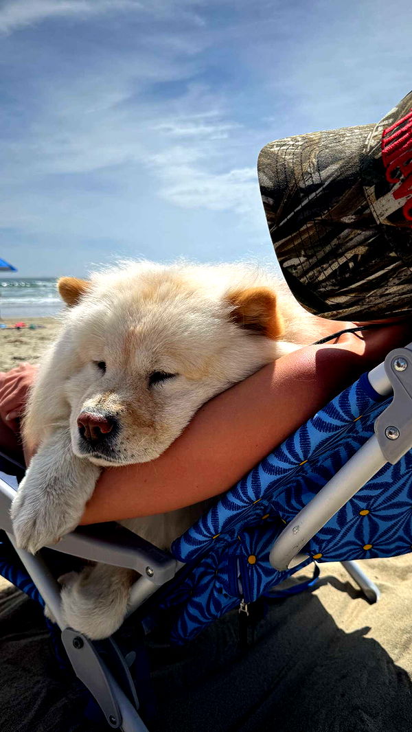 chloerosenbaum image ~ Altpins