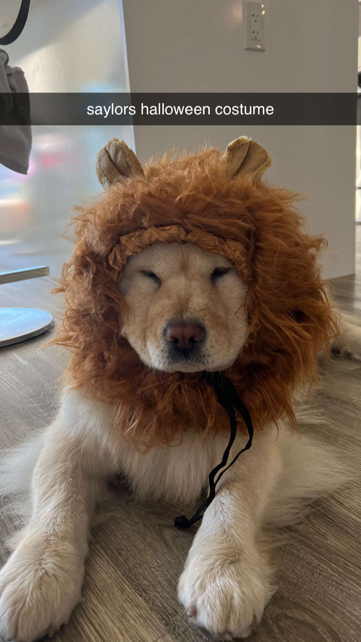 chloerosenbaum snapchat image archive image