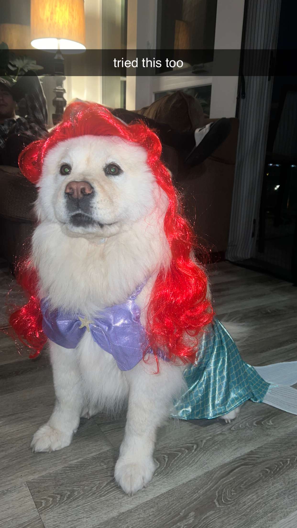 chloerosenbaum snapchat image archive image