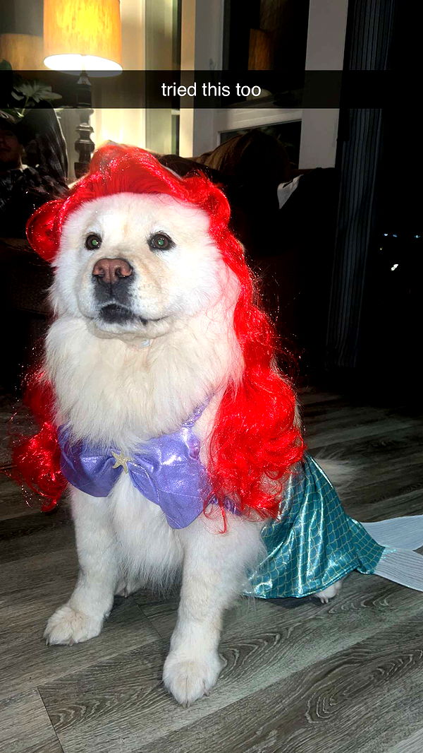 chloerosenbaum image ~ Altpins