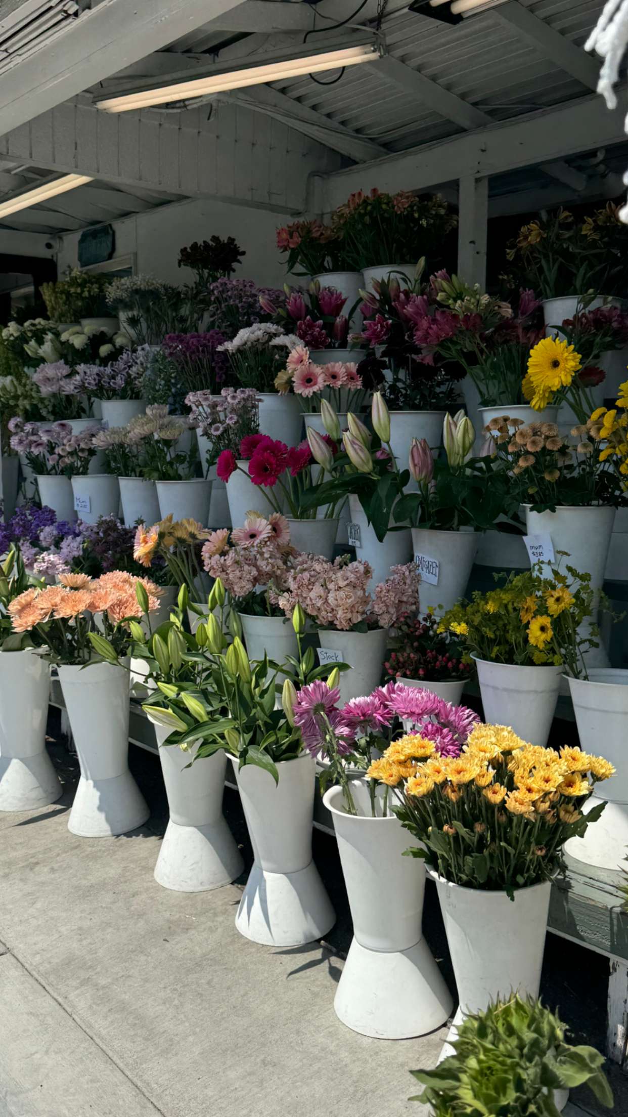 chloerosenbaum snapchat image archive image