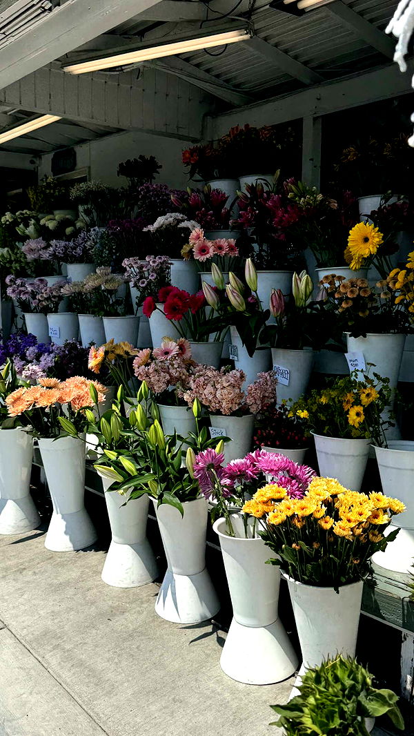 chloerosenbaum image ~ Altpins