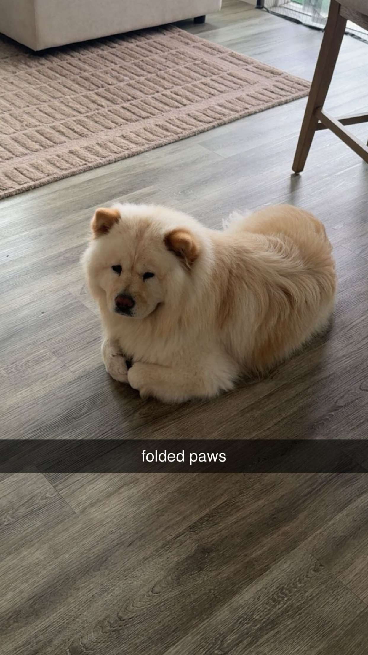 chloerosenbaum snapchat image archive image