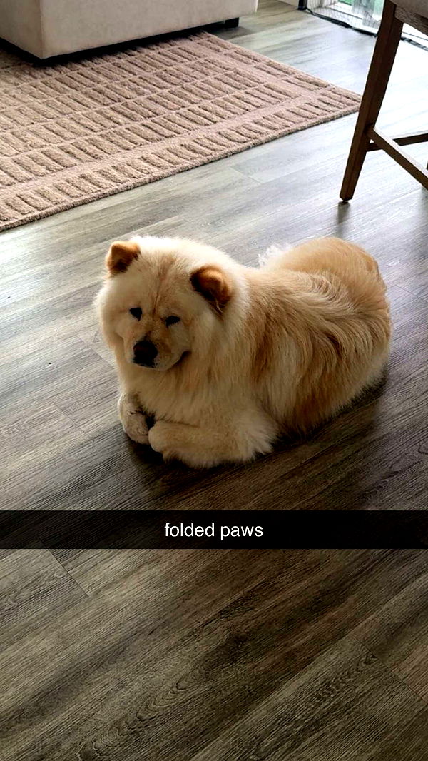 chloerosenbaum image ~ Altpins