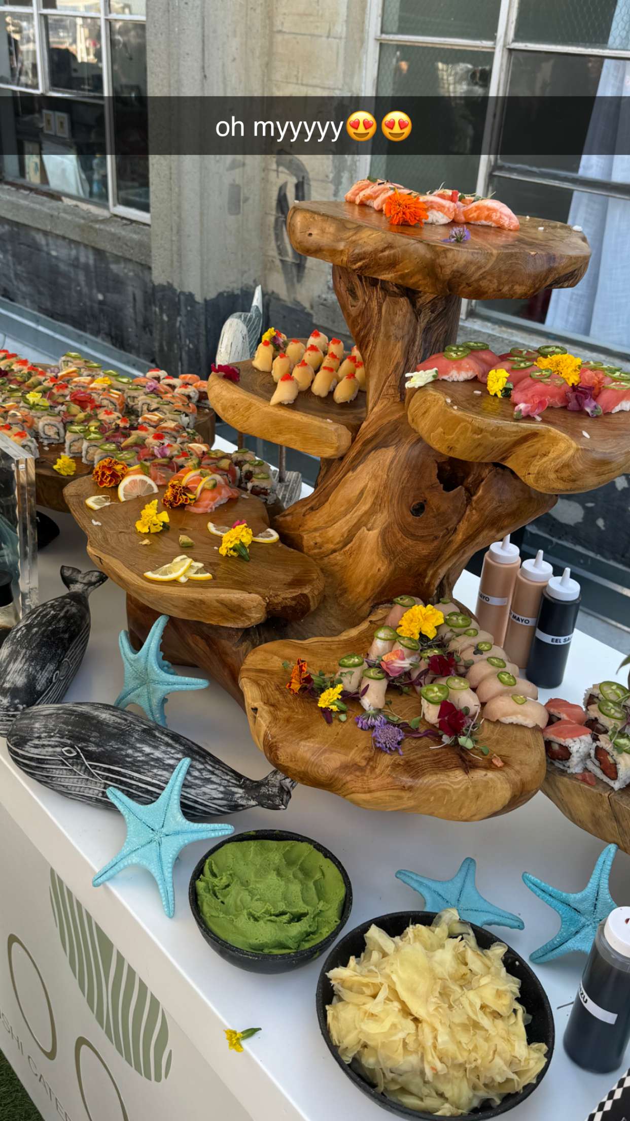 chloerosenbaum snapchat image archive image