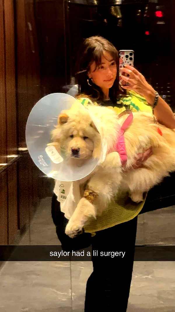 chloerosenbaum image ~ Altpins