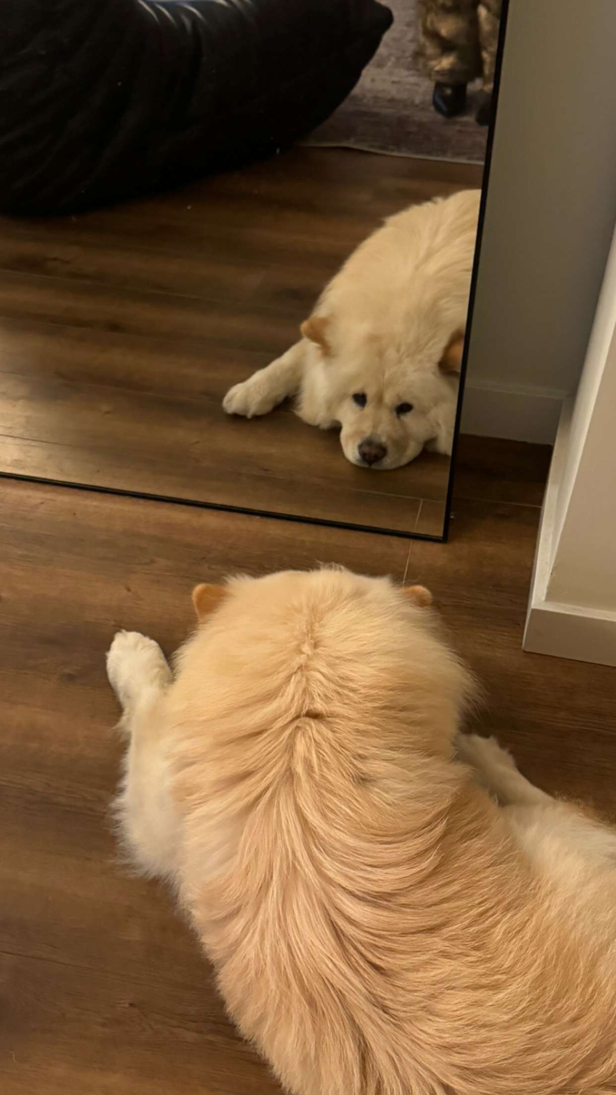 chloerosenbaum snapchat image archive image