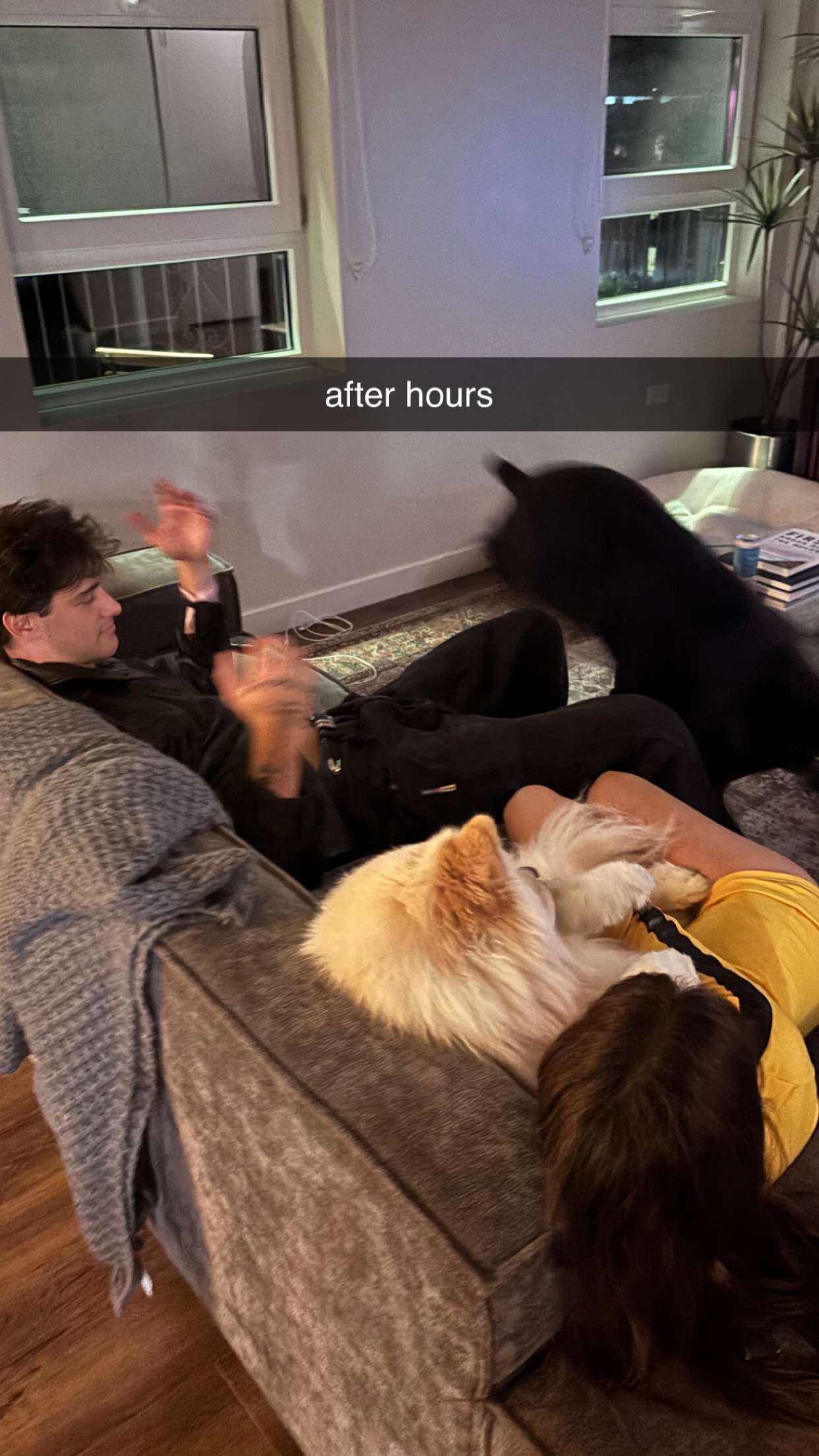 chloerosenbaum snapchat image archive image