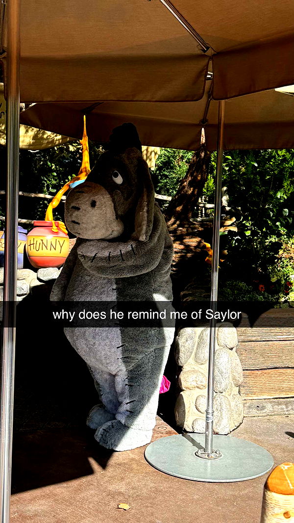 chloerosenbaum image ~ Altpins